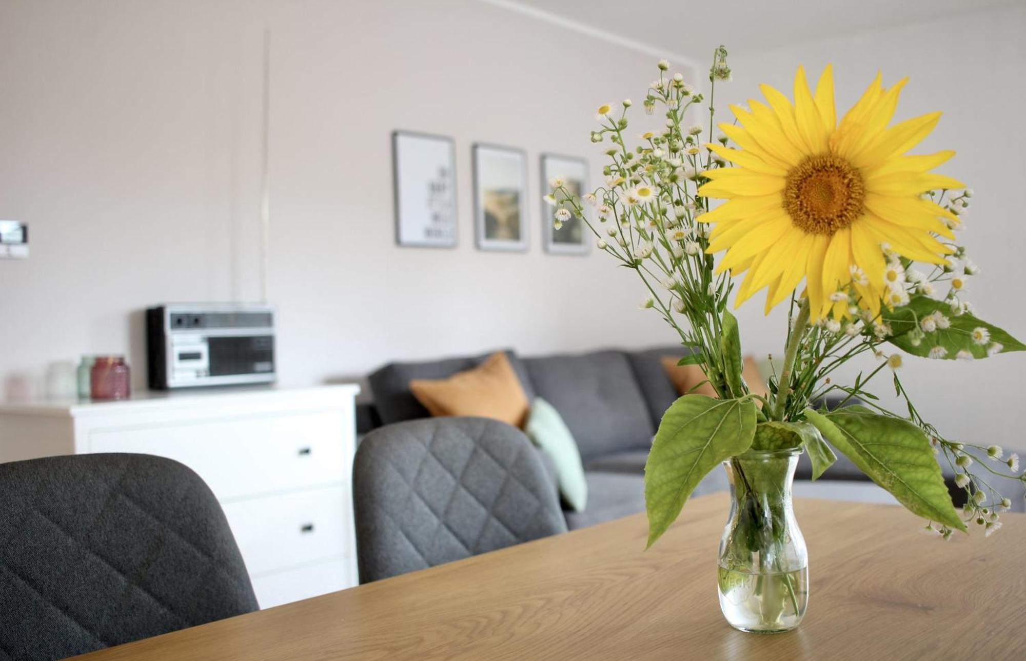 Ferienwohnung Morgensonne 켄진겐 외부 사진